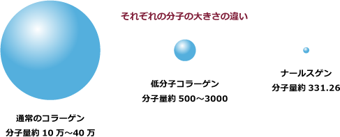 それぞれの分子の大きさの違い