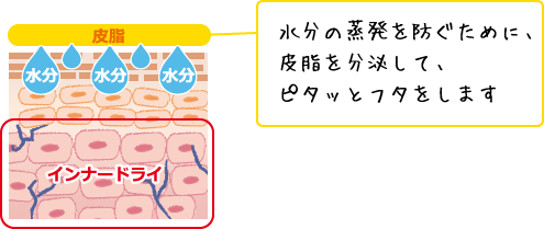 インナードライとは…★お肌の内側が乾燥している★お肌の表面がテカっている