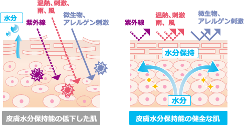 お肌の水分をしっかり保持する。