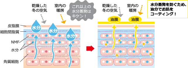 お肌から水分が蒸発しないようにする。