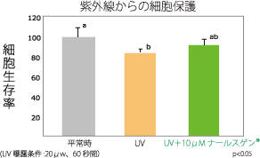 ナールスゲン®は紫外線を当てても細胞の生存率が高く光老化を軽減します。