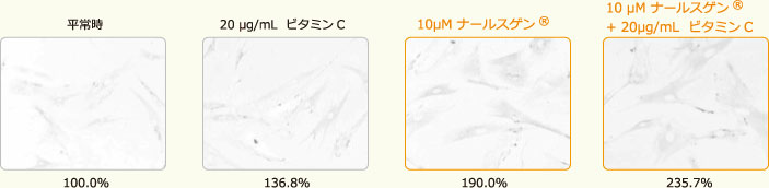 ビタミンCとの相乗効果があります