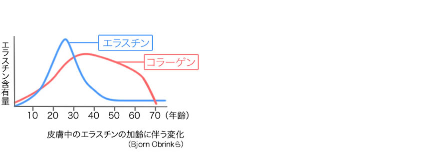 コラーゲンとエラスチンと年齢のグラフ